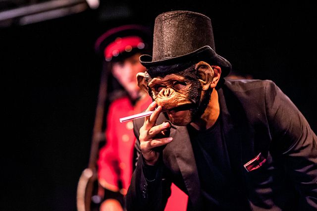 Marcel vol. I, 2014